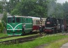 2020.08.05 JHMD T47.015 und T47.005 Jindřichův Hradec - Nová Bystřice (10)